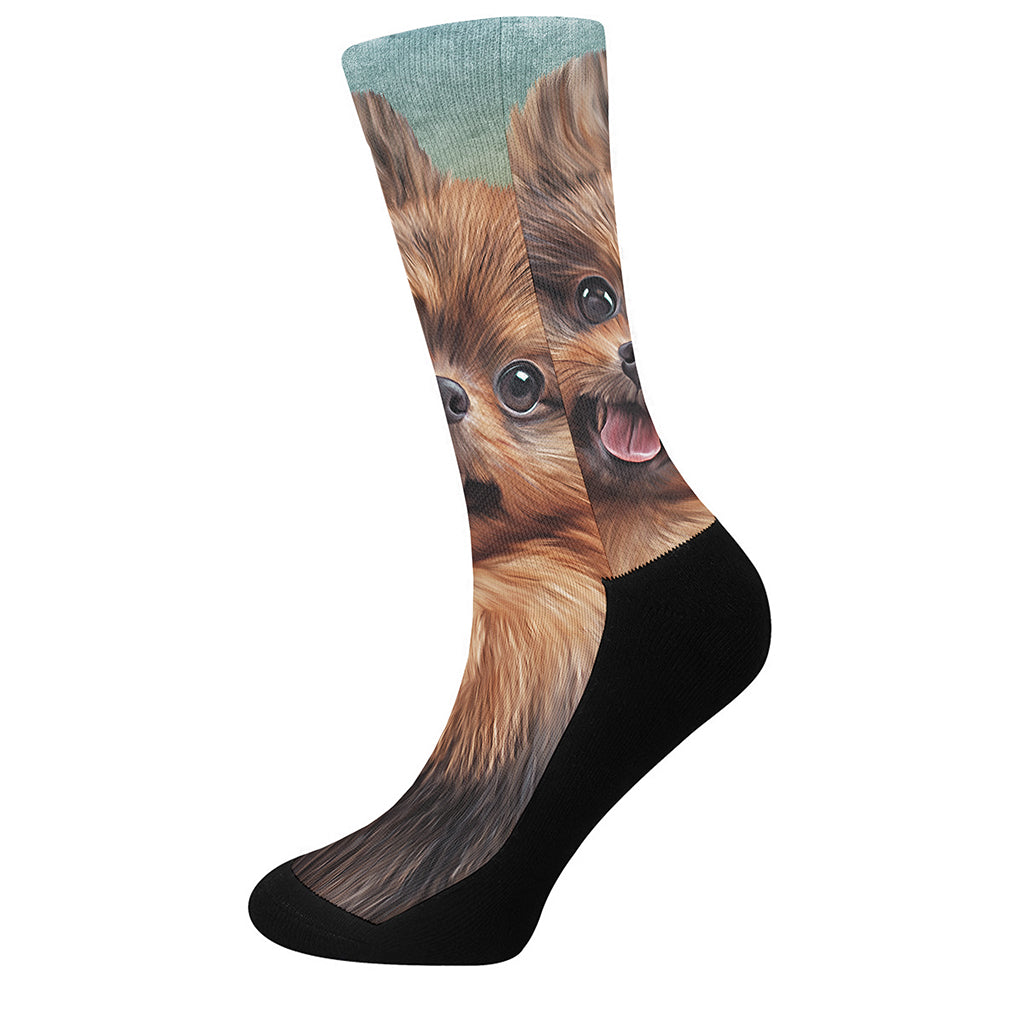 Vintage Pomeranian Portrait Crew Socks