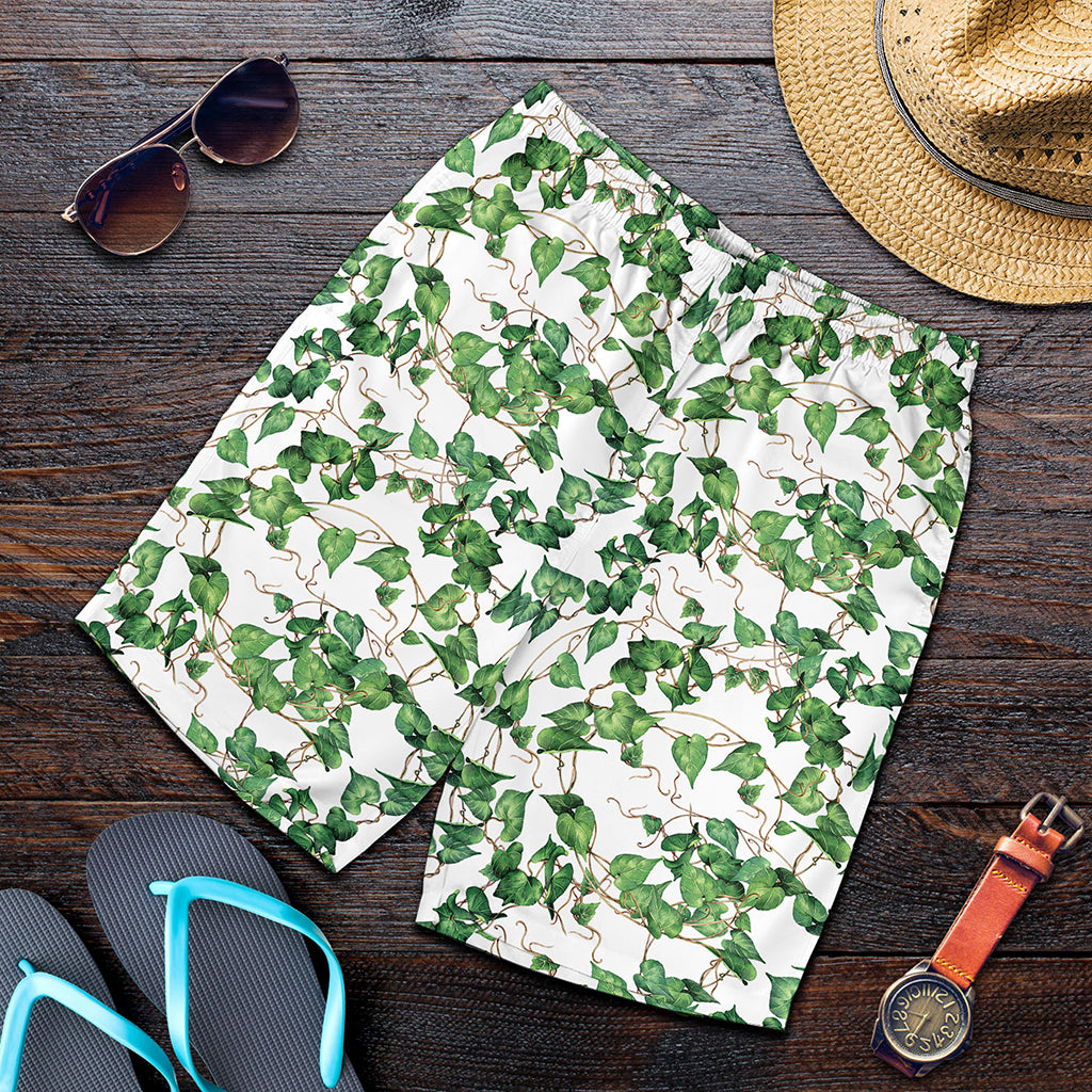 Watercolor Ivy Leaf Pattern Print Men's Shorts