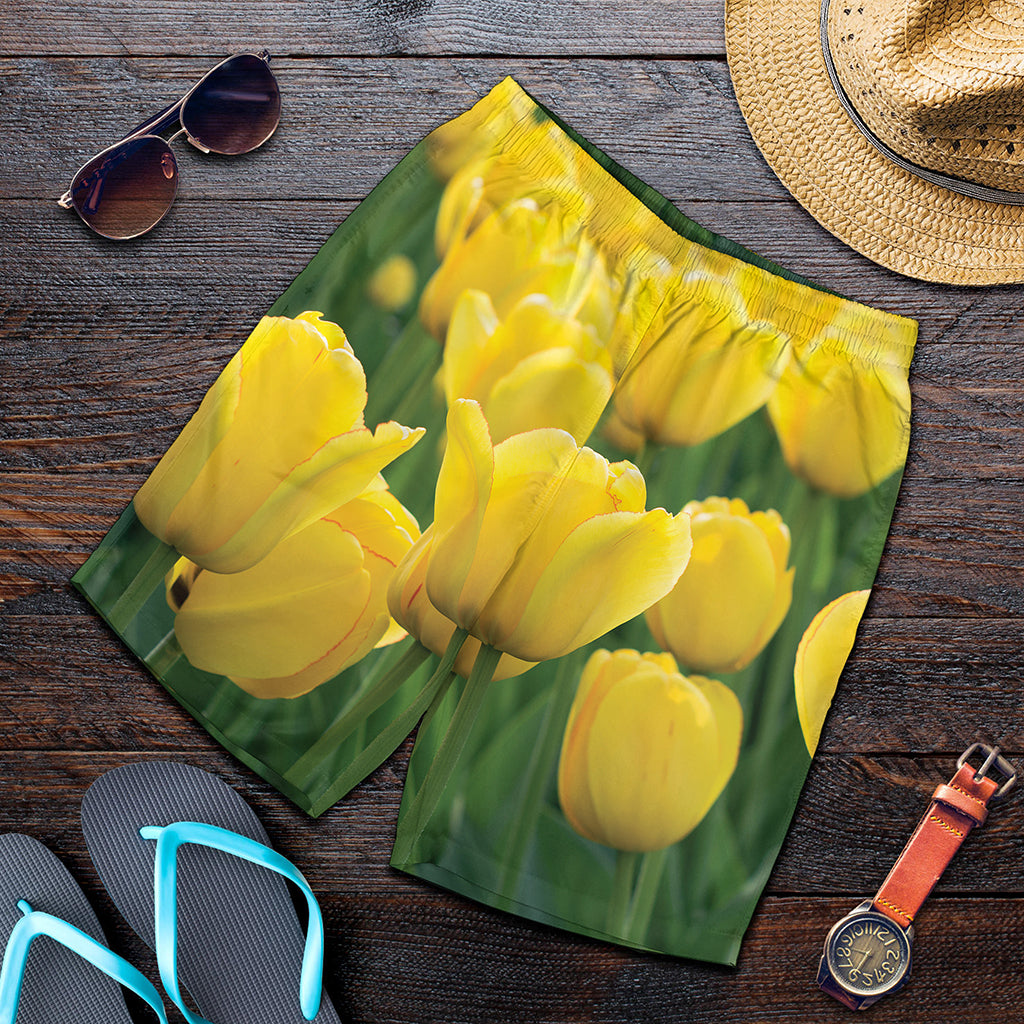 Yellow Tulip Print Men's Shorts