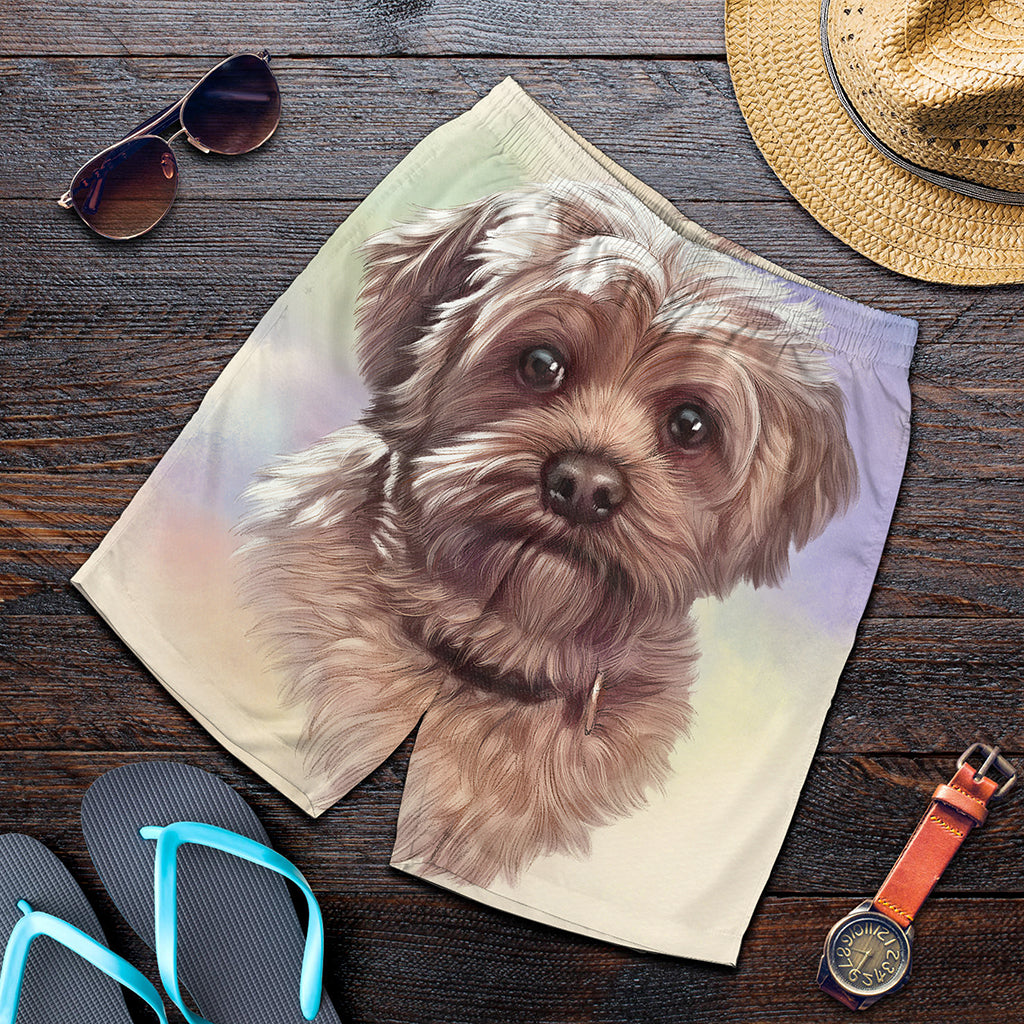 Yorkshire Terrier Portrait Print Men's Shorts