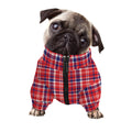 4th of July American Plaid Print Dog Zip Up Jacket