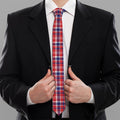 4th of July American Plaid Print Necktie
