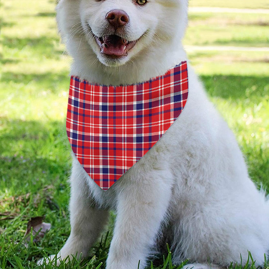 4th of July American Plaid Print Over The Collar Dog Bandana