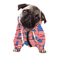 4th of July USA Flag Pattern Print Dog Zip Up Hoodie