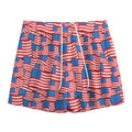4th of July USA Flag Pattern Print Mesh Shorts