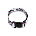 4th of July USA Star Pattern Print Dog Collar