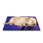 7 Chakras Caduceus Print Pet Cooling Mat Cover