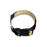 8-Bit Pixel Halloween Bat Print Dog Collar