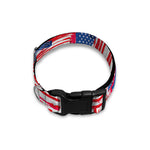 Abstract American Flag Print Dog Collar