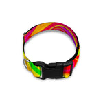Abstract Colorful Liquid Trippy Print Dog Collar
