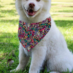 Abstract Music Pattern Print Over The Collar Dog Bandana