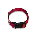 Abstract Nebula Cloud Galaxy Space Print Dog Collar