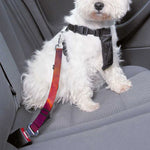 Abstract Nebula Cloud Galaxy Space Print Dog Seat Belt