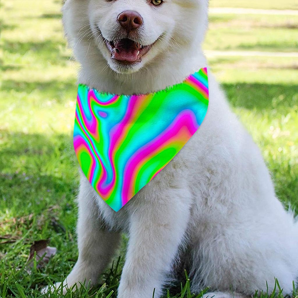 Abstract Psychedelic Trippy Print Over The Collar Dog Bandana