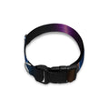 Ace Cards Print Dog Collar