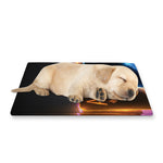 Ace Cards Print Pet Cooling Mat Cover