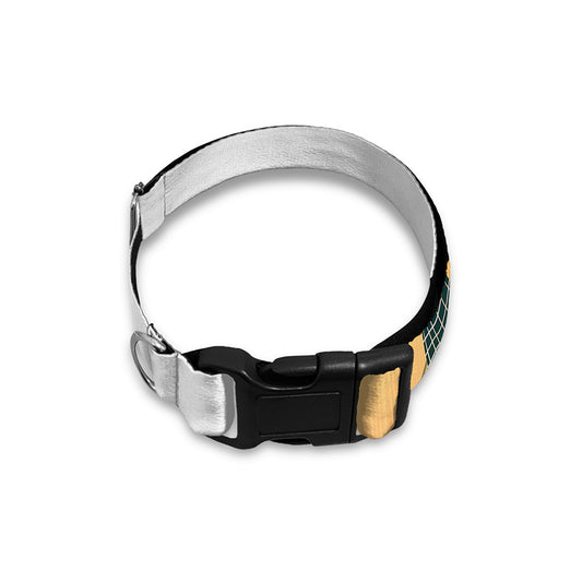 Acoustic Guitar Print Dog Collar