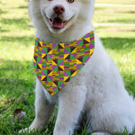 African Kente Pattern Print Over The Collar Dog Bandana