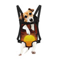 African Savanna Sunset Print Pet Carrier Backpack