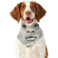 African Woman Print Dog Bandana