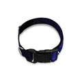 Ajna Chakra Spiritual Print Dog Collar