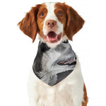 Alaskan Malamute Painting Print Dog Bandana