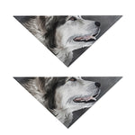 Alaskan Malamute Painting Print Dog Bandana
