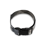 Alaskan Malamute Painting Print Dog Collar