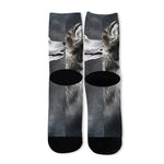 Alaskan Malamute Painting Print Long Socks