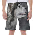 Alaskan Malamute Painting Print Men's Beach Shorts