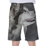 Alaskan Malamute Painting Print Men's Beach Shorts