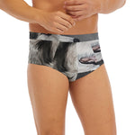 Alaskan Malamute Painting Print Men's Briefs