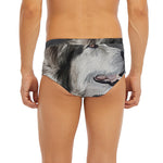 Alaskan Malamute Painting Print Men's Briefs