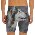 Alaskan Malamute Painting Print Men's Long Boxer Briefs