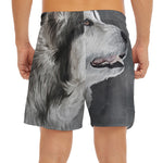 Alaskan Malamute Painting Print Men's Split Running Shorts