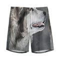 Alaskan Malamute Painting Print Men's Athletic Shorts