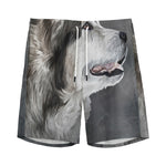 Alaskan Malamute Painting Print Men's Sports Shorts