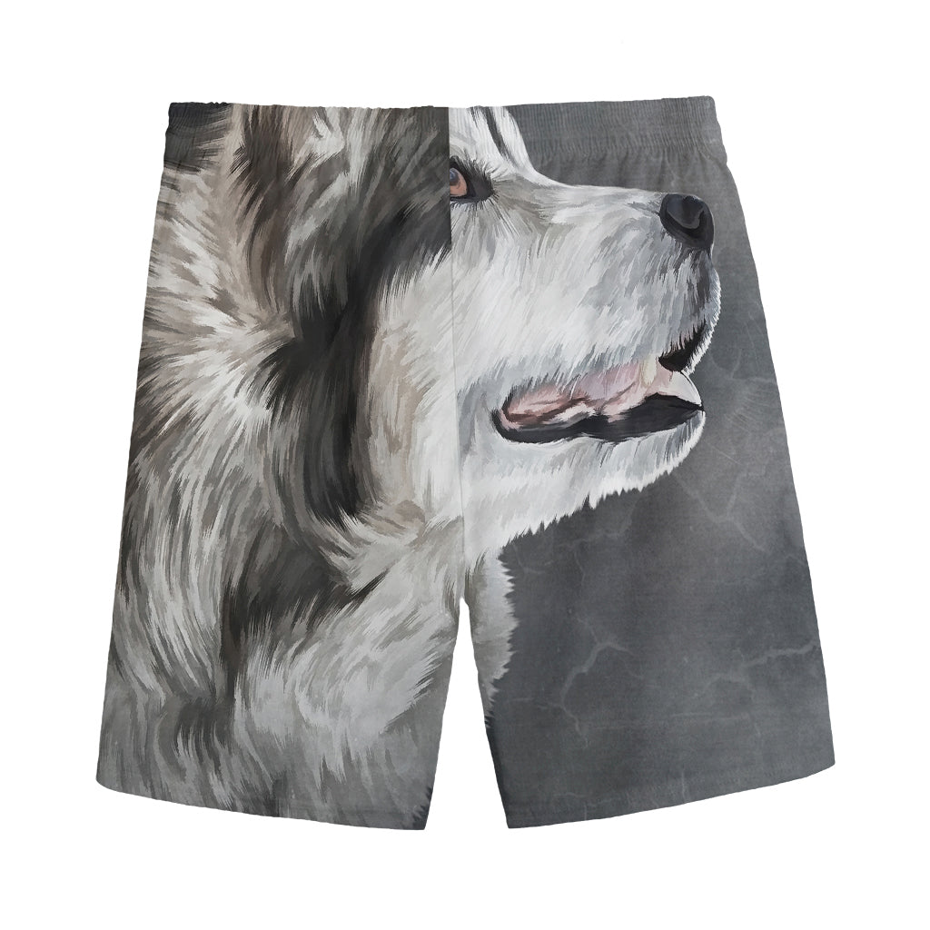 Alaskan Malamute Painting Print Men's Sports Shorts