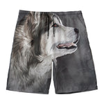 Alaskan Malamute Painting Print Men's Swim Trunks