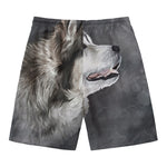 Alaskan Malamute Painting Print Men's Swim Trunks