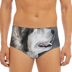 Alaskan Malamute Painting Print Men's Triangle Swim Briefs