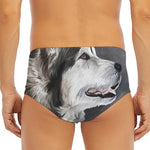 Alaskan Malamute Painting Print Men's Triangle Swim Briefs