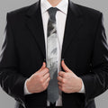 Alaskan Malamute Painting Print Necktie