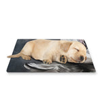 Alaskan Malamute Painting Print Pet Cooling Mat Cover