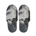 Alaskan Malamute Painting Print Slippers