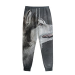 Alaskan Malamute Painting Print Sweatpants