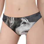 Alaskan Malamute Painting Print Women's Panties