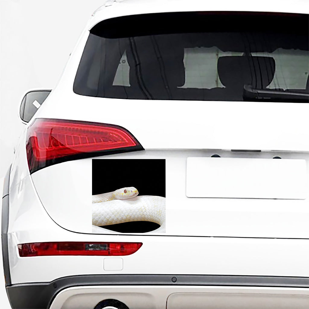 Albino Snake Print Car Sticker