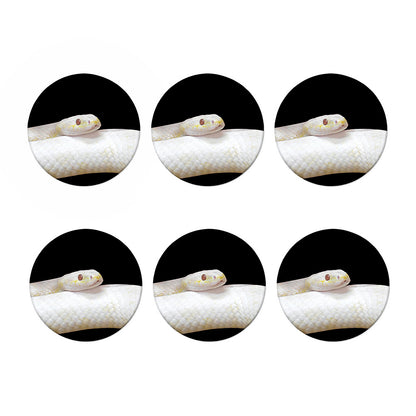 Albino Snake Print Coaster Set
