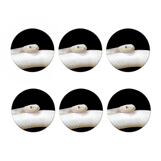 Albino Snake Print Coaster Set